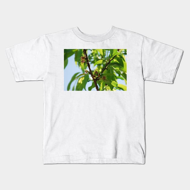 Young Almond Drupes Kids T-Shirt by jojobob